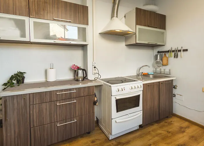 Dzīvoklis Stylish 6-bedroom - Lacplesa Street Riga