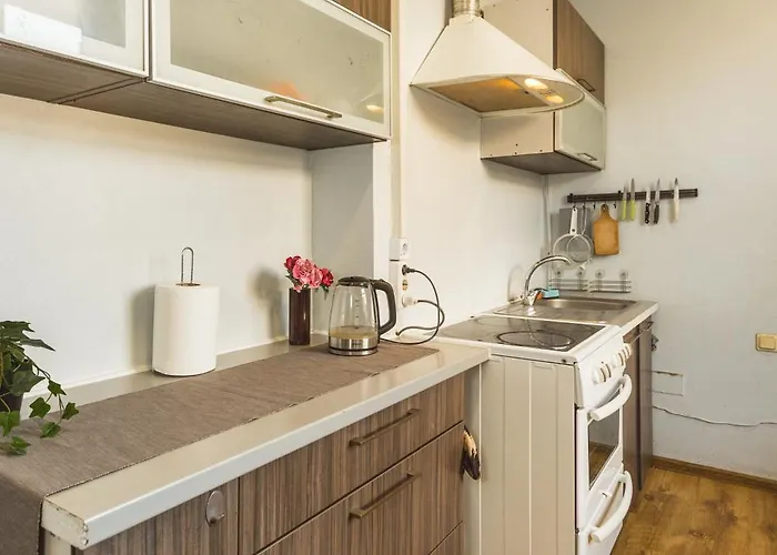 Stylish 6-bedroom - Lacplesa Street