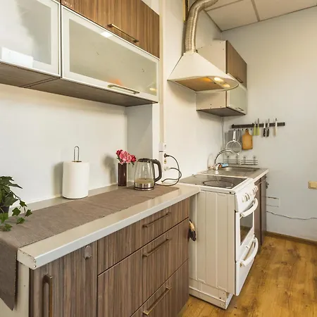 Stylish 6-bedroom - Lacplesa Street